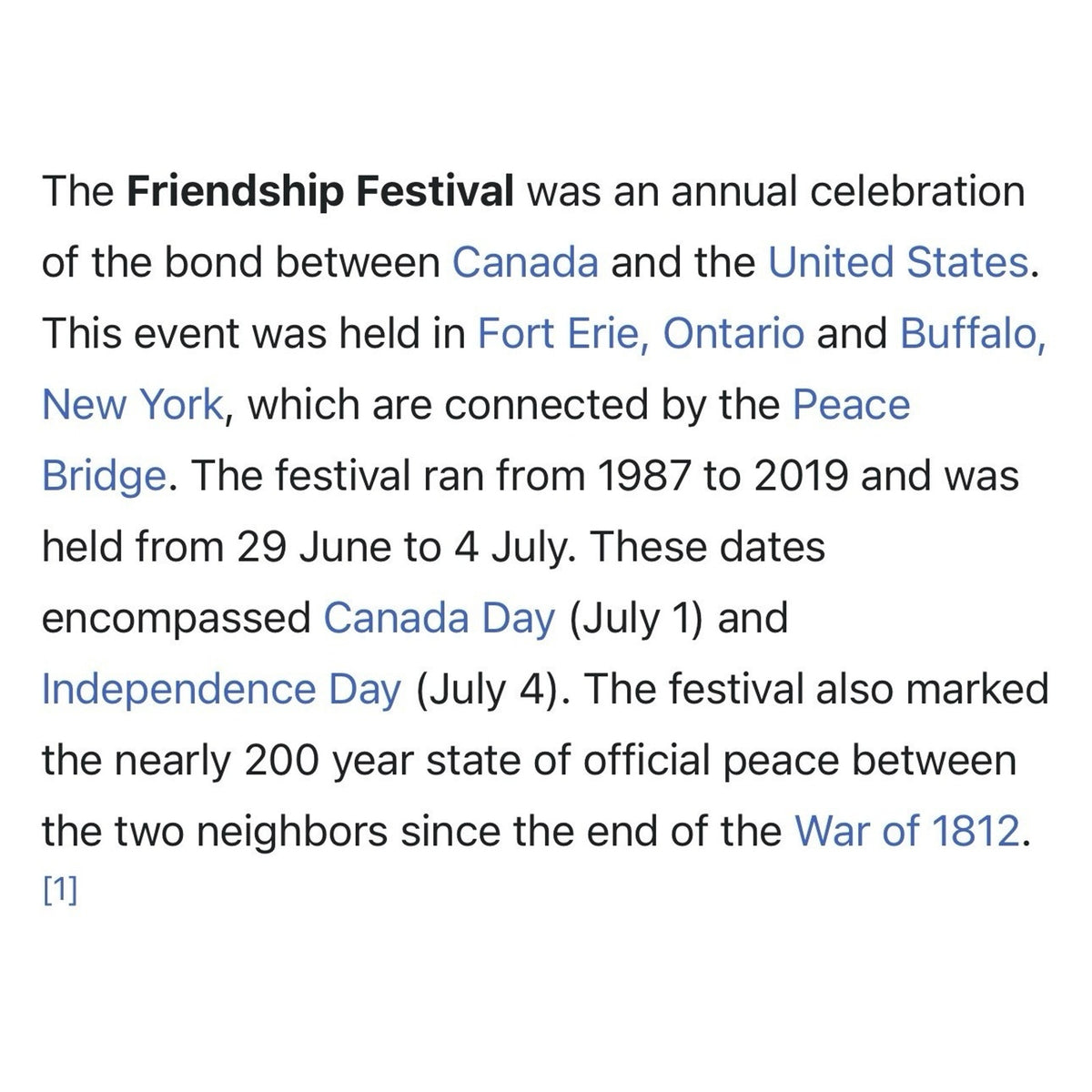 Vintage 1991 Friendship Festival USA & Canada Celebration Shirt Rare Large 22x27