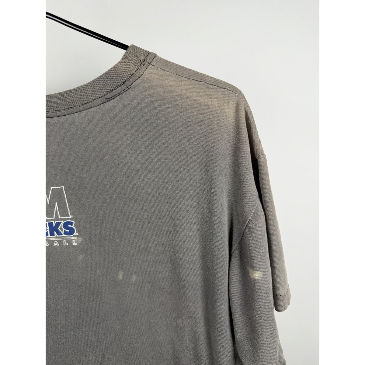 Vintage 1996 Memphis Chicks minor league baseball tee, faded, boxy L