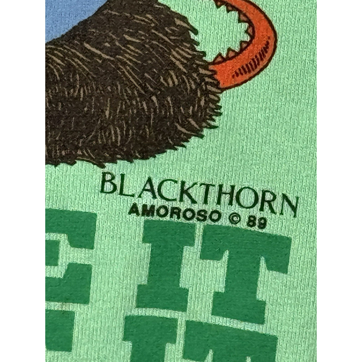 Vintage 1989 Take Care Of The Earth Dragon Black Thorn Environmental Shirt 19x27