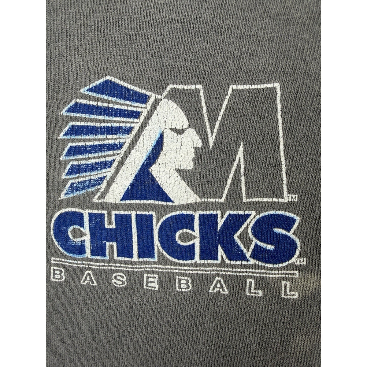 Vintage 1996 Memphis Chicks minor league baseball tee, faded, boxy L