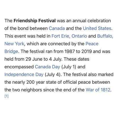 Vintage 1991 Friendship Festival USA & Canada Celebration Shirt Rare Large 22x27