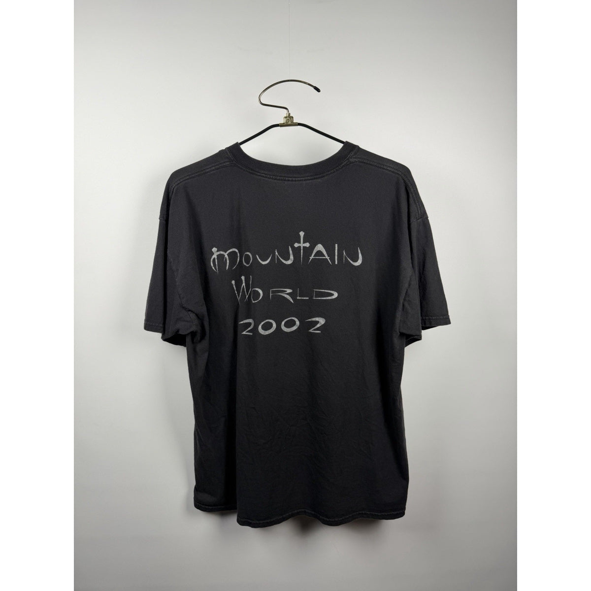 Vintage 2002 Mountain Band Shirt Mystic Fire Mountain World Tour XL 24x29
