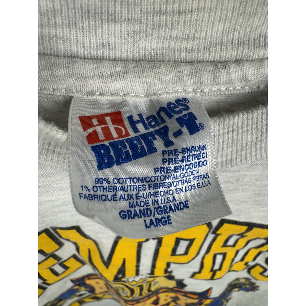Vintage 1993 Memphis Riverkings CHL Hockey Rare Shirt Single Stitch Large 21x26