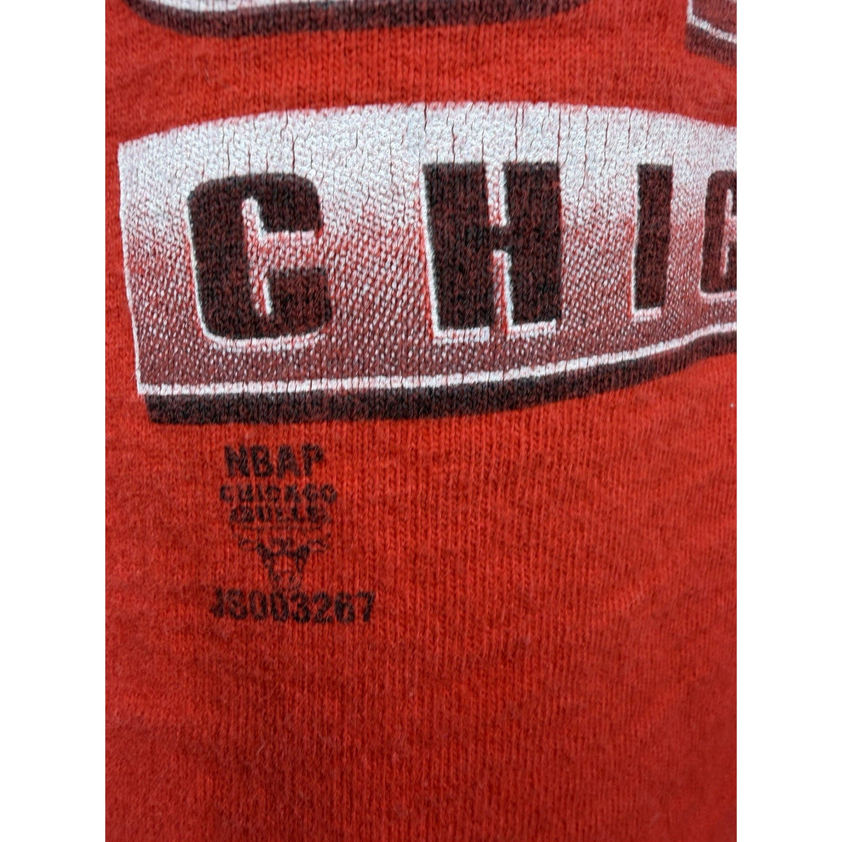 Vintage 1996 Chicago Bulls Eastern Conference Champs tee, L