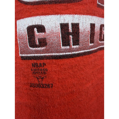 Vintage 1996 Chicago Bulls Eastern Conference Champs tee, L