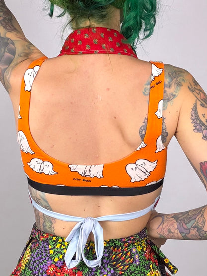 Big Collar Little Halter (S–L)