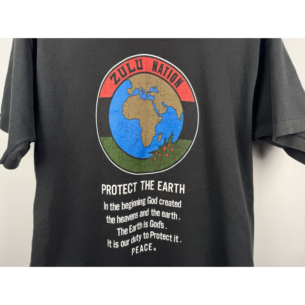 Vintage 90s Universal Zulu Nation Protect the Earth tee, XL