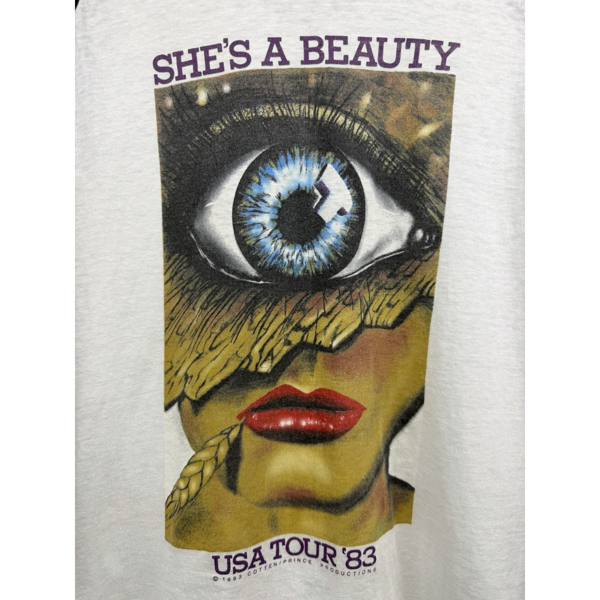Vintage 1983 The Tubes She's a Beauty USA tour raglan, XL