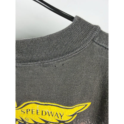 Vintage 1998 Dale Earnhardt Brickyard 400 all over print tee, XL