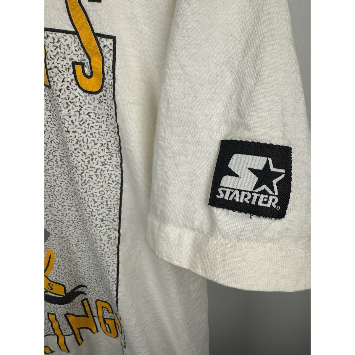 Vintage 90s Memphis Riverkings Starter tee, single stitch, L