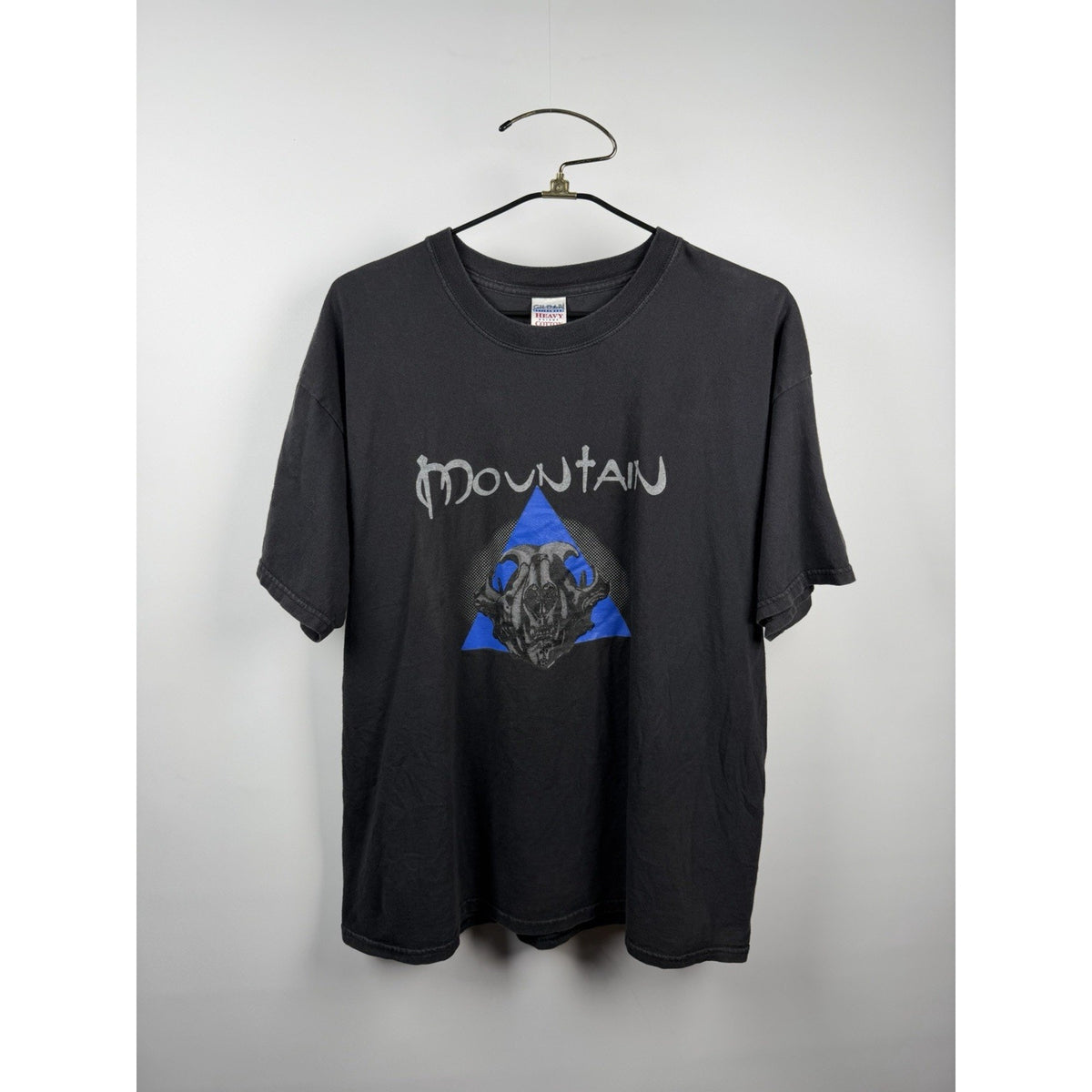 Vintage 2002 Mountain Band Shirt Mystic Fire Mountain World Tour XL 24x29