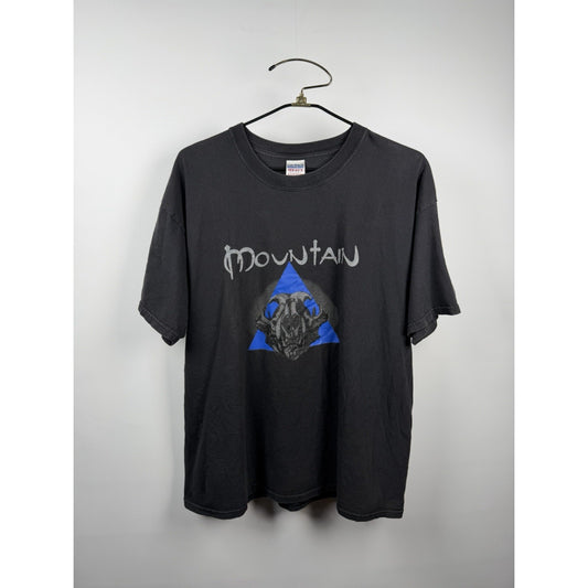 Vintage 2002 Mountain Band Shirt Mystic Fire Mountain World Tour XL 24x29