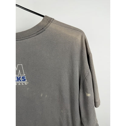 Vintage 1996 Memphis Chicks minor league baseball tee, faded, boxy L