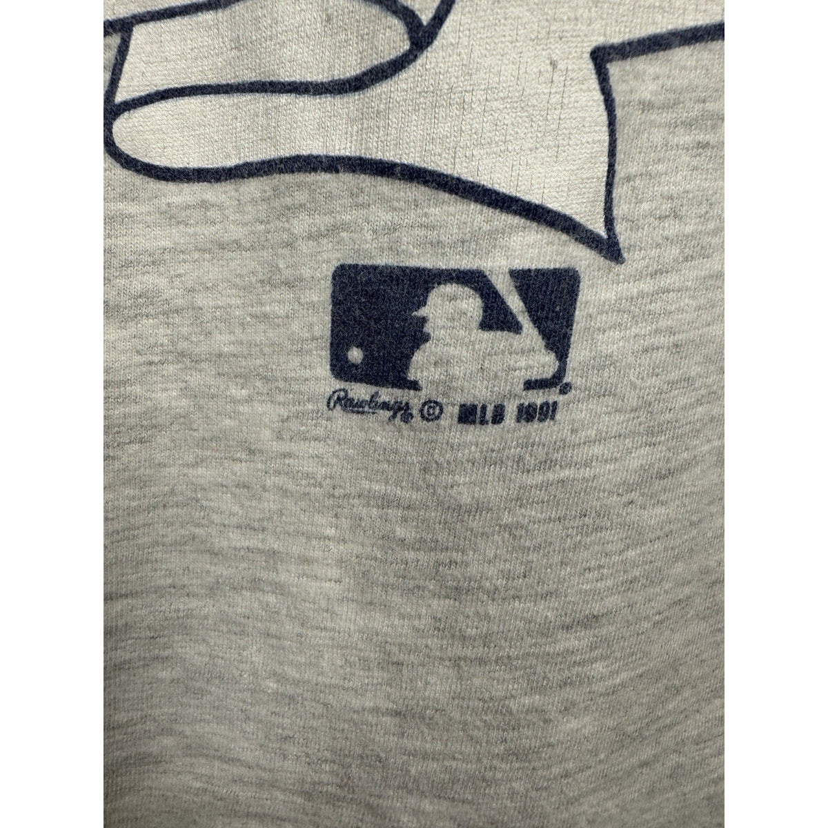 Vintage 1991 Minnesota Twins tee, single stitch, Hanes, L