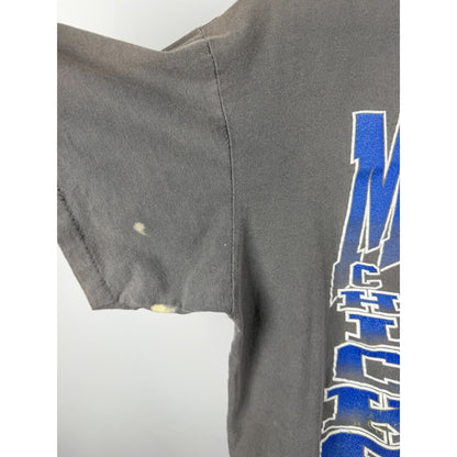 Vintage 1996 Memphis Chicks minor league baseball tee, faded, boxy L